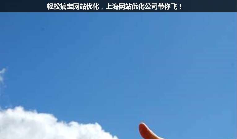 輕松搞定網(wǎng)站優(yōu)化，上海網(wǎng)站優(yōu)化公司帶你飛！